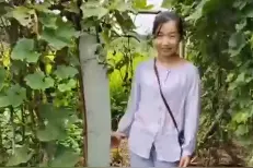 妻子私下打胎，丈夫起诉离婚：她侵犯了我的生育权；活久见！湖南女子种出逆天高度冬瓜图片