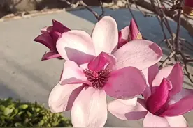 你是我今生最美丽的相遇，无论你走多远，我都深深想着你图片