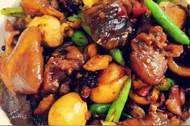家常菜谱｜红烧甲鱼图片