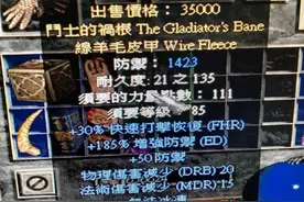 暗黑第一次打到暗金羊毛皮甲图片