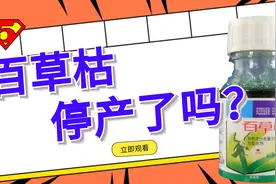 百草枯（下）丨水剂停产了吗？无论怎样，都应该自己珍爱生命
