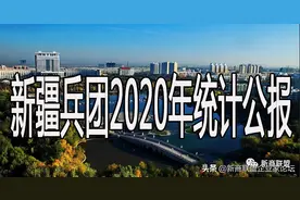 新疆生产建设兵团 2020年国民经济和社会发展统计公报图片