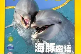 避免踩坑，2021年给孩子订杂志推荐这10种图片