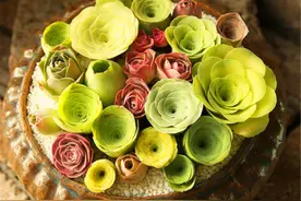 想让多肉砍头后健康茁壮爆头多？6个“不要”要牢记，1分钟学会图片