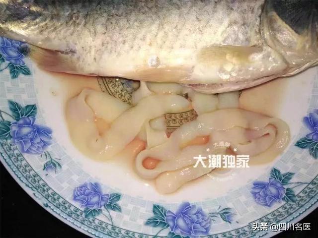 鱼鳞扁平白色多爪寄生虫
