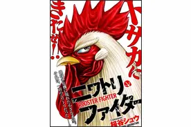 漫画：拯救世界的一只鸡图片