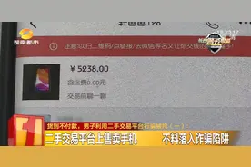 羽毛球拍、球鞋全是骗来的…22岁男子取悦女友满足私欲，利用二手交易平台行骗，拘了！图片