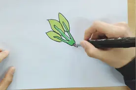 简笔画视频：菠菜的画法视频封面