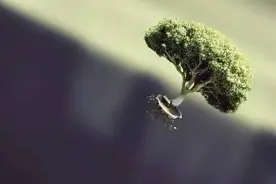 莫言：自尊其实就是吃饱了撑的图片