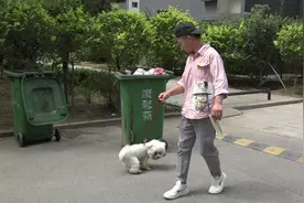 注意！太原严格规范养犬行为，养犬的您可别掉“链”图片
