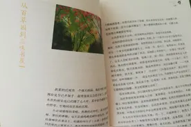 读过的书，文字都化作了回忆～《从百草园到三味书屋》图片