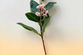 情侣的收入相差1.6倍最合适？你觉得呢？图片