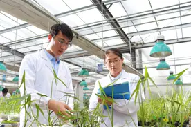 厉害了！青岛这家公司拿下104项国际专利，被称为农业生物科技领域里的小“华为”图片