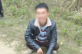 “竹鸡”=国家“三有”保护野生动物，劝君莫打枝头鸟图片