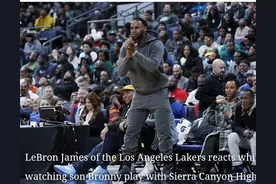 NBA最好的5名球星，他们的儿子被吹嘘为未来的NBA球员图片