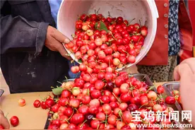 宝鸡：“樱”“渭”有你 甜蜜难“桃”图片