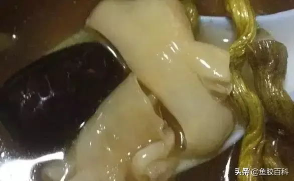 花胶竹笙煲白鸽的做法大全 竹笙炖花胶功效