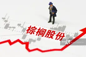 棕榈股份易主河南国资扭亏为盈4859万 定增11.6亿偿债补流实控人全额认购图片