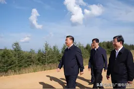 鉴往知来，跟着总书记学历史——扎根塞罕坝的绿色传奇图片