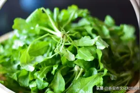 泰城春天的味道，我尝过！图片