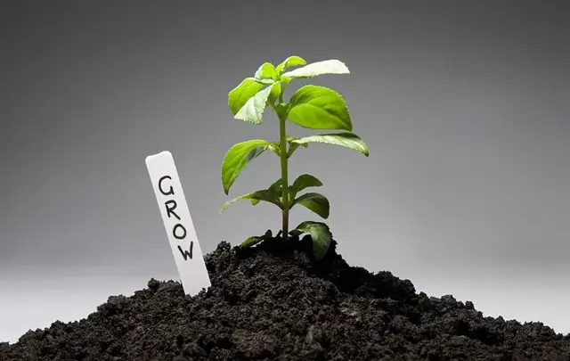 菌肥：农业的大师，各种常见微生物菌的不同作用及使用方法