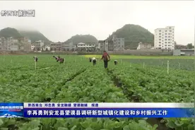 李再勇到安龙县望谟县调研新型城镇化建设和乡村振兴工作图片