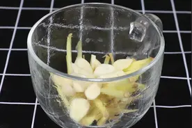 大蒜和生姜搭配，好多人不知道，作用真厉害，太实用了图片