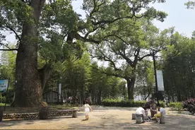 这些独特的方言词，在您的家乡怎么说？（二）图片