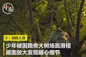 少年被困路旁大树画面滑稽 细看后发现原因暖心图片