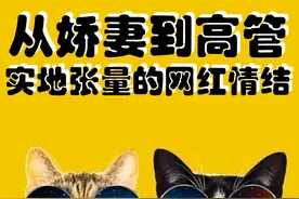 实地IPO净负债率225%，张量从娇妻到高管的网红情结图片