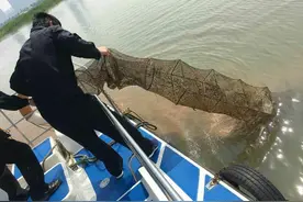 鱼也不能捕了？这三种捕鱼行为均不合规，有人已受罚，农民要注意图片