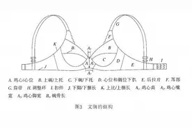 女孩子的文胸是怎么制作出来的图片