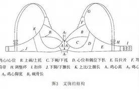 女孩子的文胸是怎么制作出来的图片