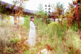 接受约拍。专拍高端婚礼、宣传片、大型会议。摄影师：苏阳 拍摄图片