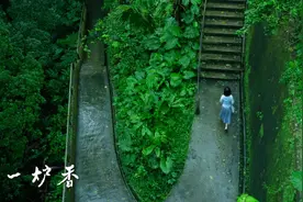 这部电影正在上映，厦门观众：太熟悉了！鼓浪屿元素太出彩图片