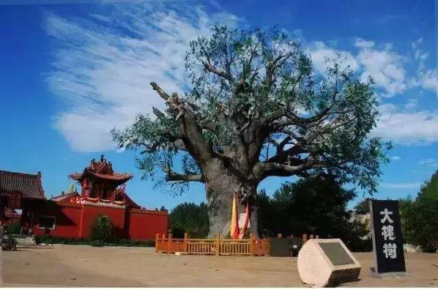 临汾旅行社 临汾旅行社旅游线路报价(图3) 临汾旅行社 临汾旅行社旅游线路报价(图3)