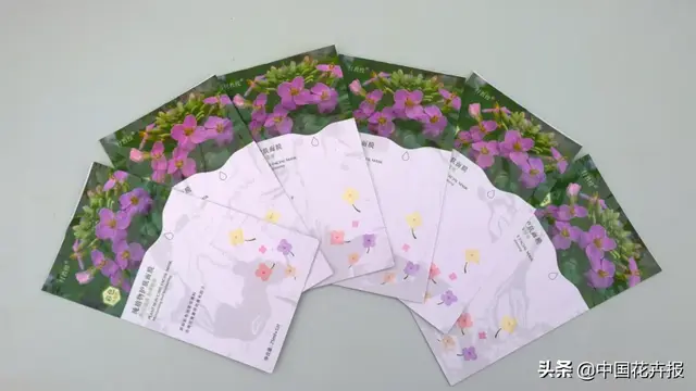 北国杏花初绽，江南已是油菜花漫山，“可甜可盐”的彩色油菜花，爱了！