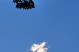大肆宣传教师不适用劳动法的人都是有目的的图片