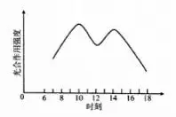 高考模拟 | 长春市普通高中2021届高三质量检测（二）生物图片