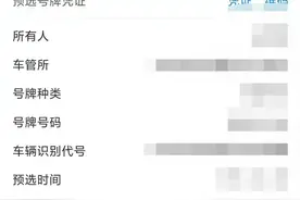 郑州暴雨致新车选号系统瘫痪，车主预选号码过期账号被列黑名单，官方：正逐一核实移出图片