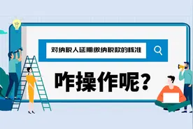 解锁延期缴纳税款操作的正确打开方式图片