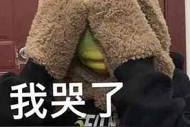 我哭了，我装的图片