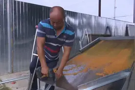 小康路上不掉队，宝应山阳镇兴同村幸福指数不断攀升图片