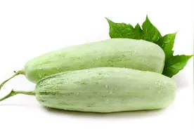 买羊角蜜，到底选粗的还是细的？瓜农告诉你，以后别再乱买了图片