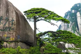 最实用的黄山自驾旅行攻略，帮你推荐最划算的黄山旅游线路图片