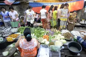南方人逛北方菜市场，买葱按捆，排骨按扇，感叹：买菜就像去进货图片