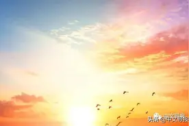 木子浪：工薪族姐姐在日本奇迹般的斗病经历图片