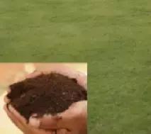 关于美容针，这篇文章都给你说清楚了