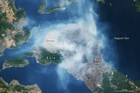 几十年来最大的生态灾难！希腊大片土地被烧焦，卫星图让人揪心图片
