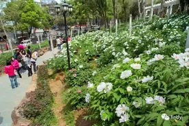 十年程序生涯回顾：从网瘾少年到成功通过腾讯面试，我经历了什么图片